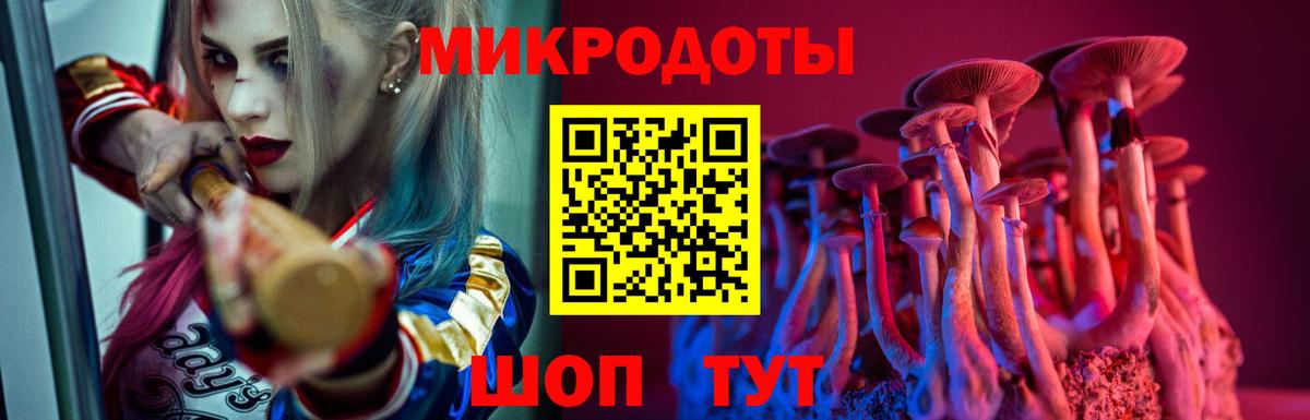 Галлюциногенные грибы мицелий  Вход с VPN  Заинск 