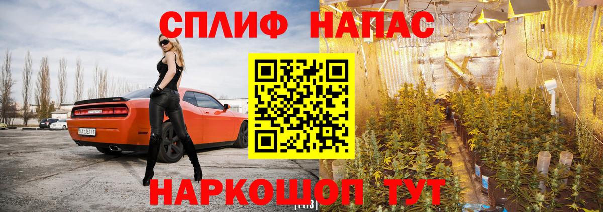 Бошки марихуана Amnesia Заинск